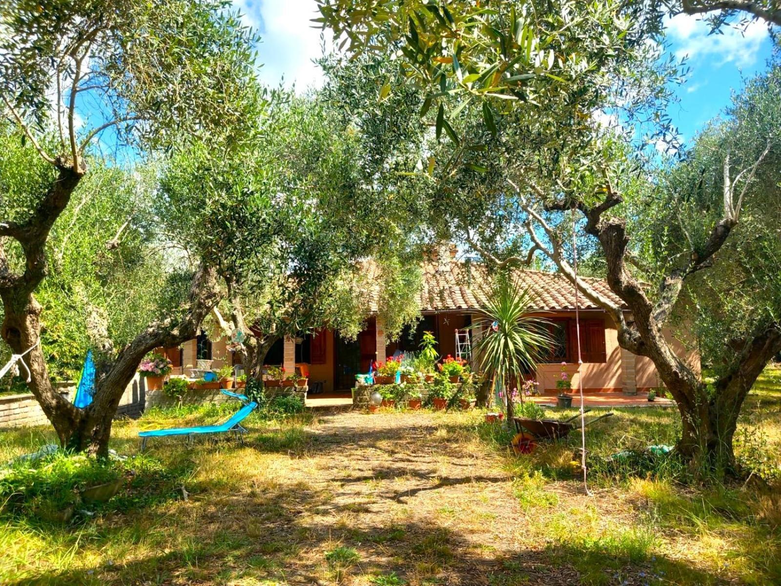 All'Ombra Degli Olivi Pisciarelli Exterior photo